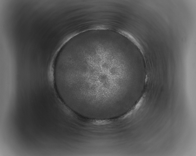 X0000101710835200807171534