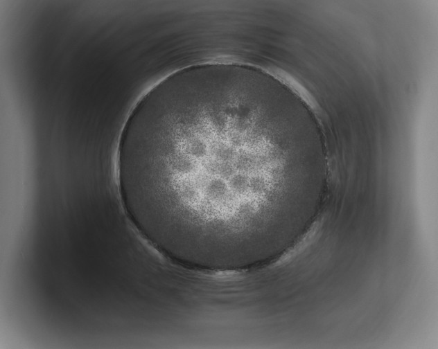 X0000101710839200807171534