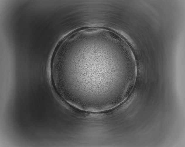 X0000101710840200807171534