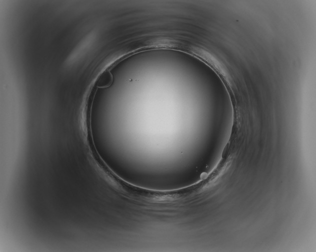 X0000101710843200807171534