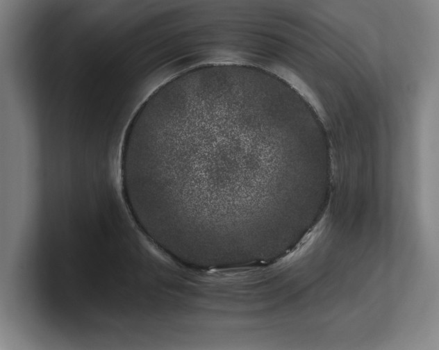 X0000101710845200807171534