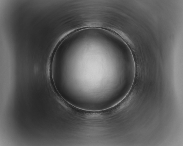 X0000101710846200807171534