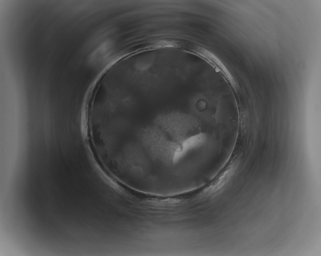 X0000101710851200807171534