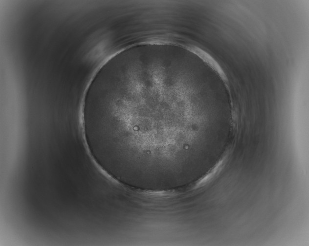X0000101710855200807171534