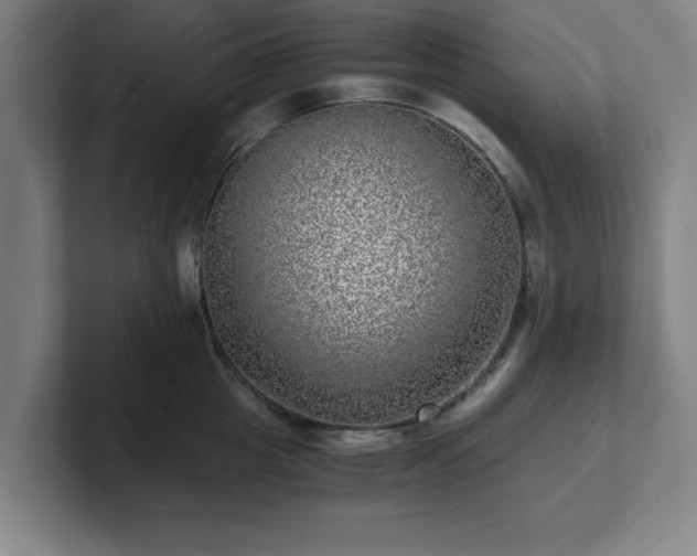 X0000101710857200807171534