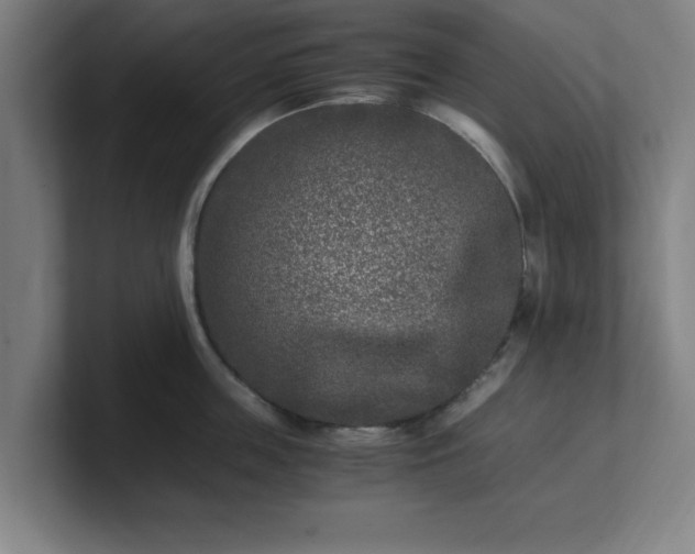 X0000101710859200807171534