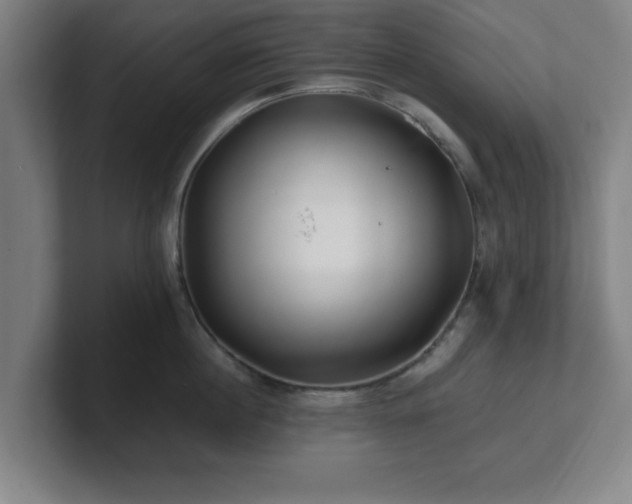 X0000101710860200807171534