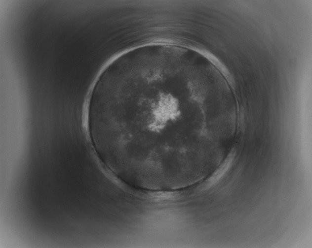 X0000101710862200807171534