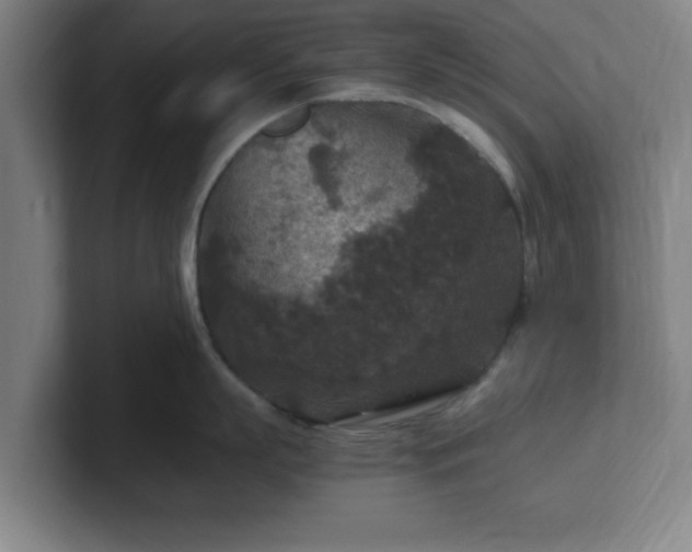 X0000101710863200807171534