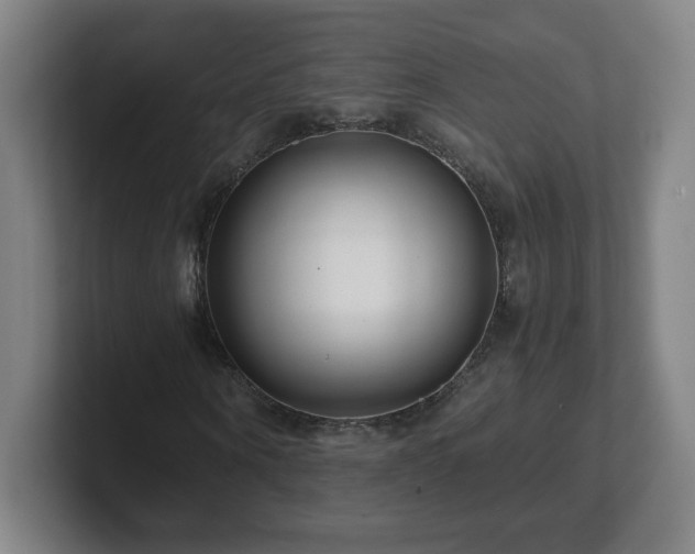 X0000101710866200807171534
