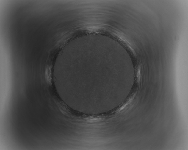 X0000101710868200807171534