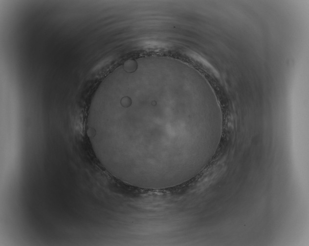 X0000101710869200807171534