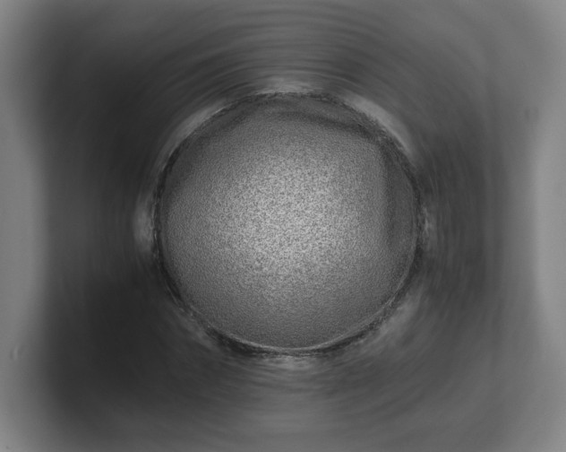 X0000101710874200807171534