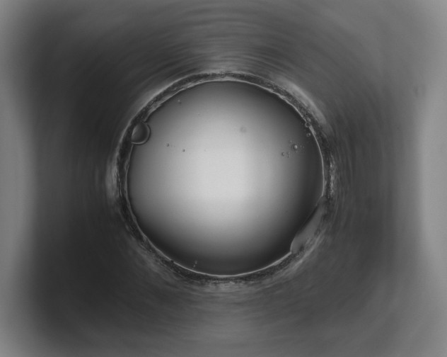 X0000101710876200807171534