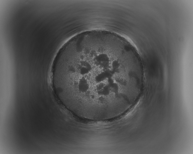 X0000101710879200807171534