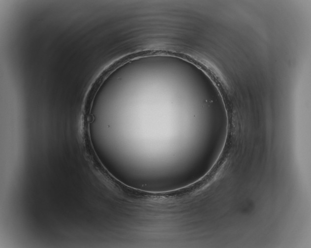 X0000101710880200807171534