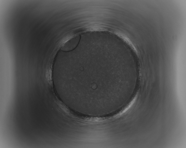 X0000101710881200807171534