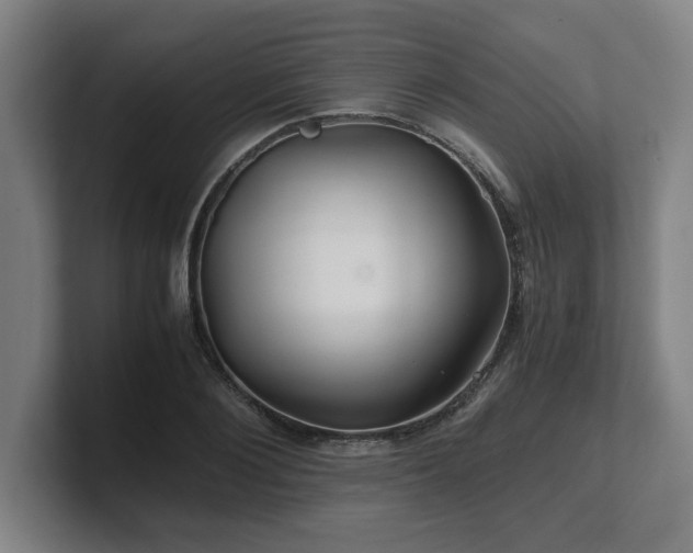 X0000101710884200807171534