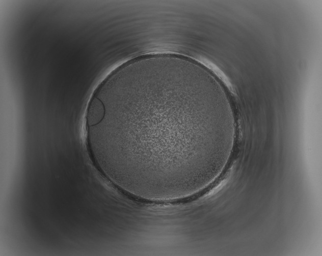 X0000101710885200807171533