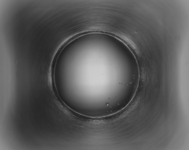 X0000101710888200807171533