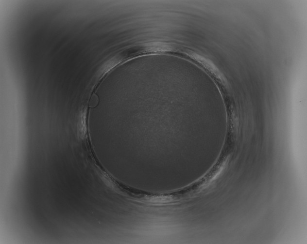 X0000101710889200807171533