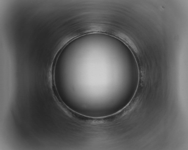 X0000101710890200807171533