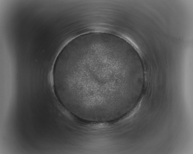 X0000101710891200807171533