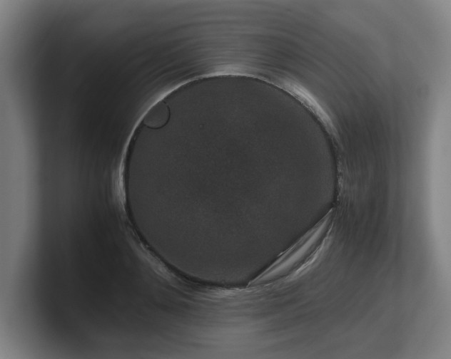 X0000101710892200807171533
