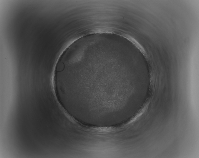 X0000101710893200807171533