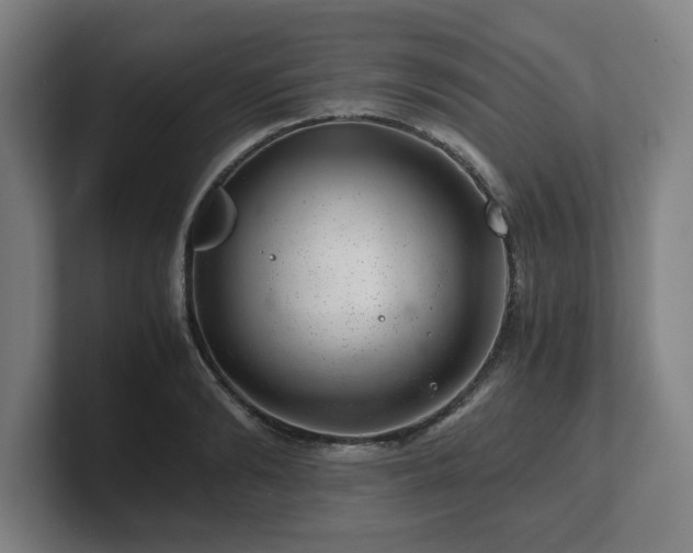 X0000101710894200807171533