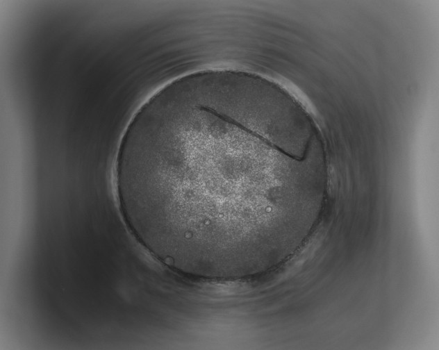 X0000101710895200807171533
