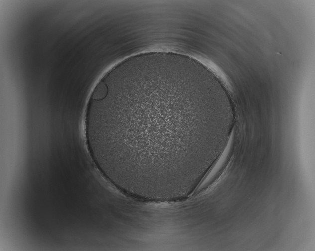 X0000101710896200807171533