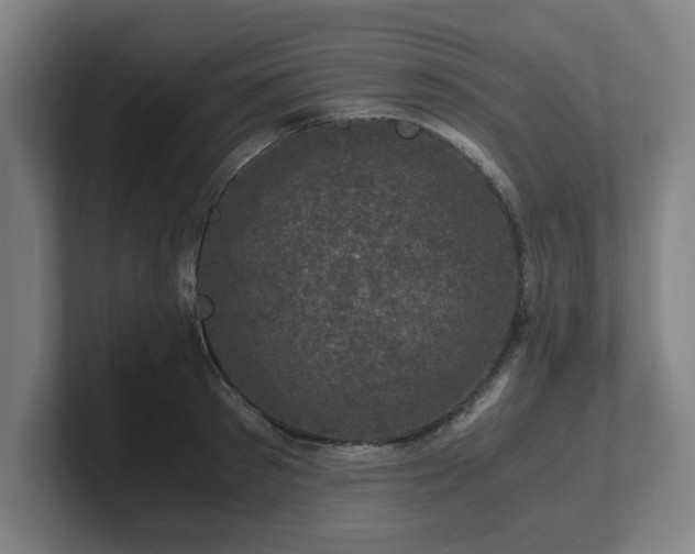 X0000101710897200807171533