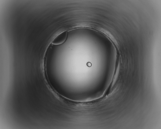 X0000101710898200807171533