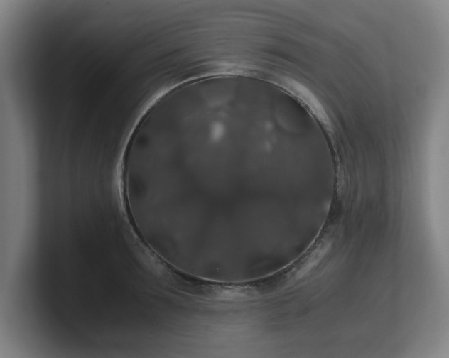 X0000101710899200807171533