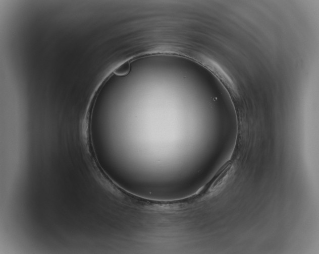 X0000101710900200807171533