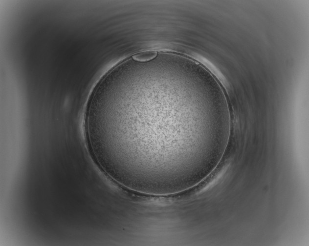 X0000101710901200807171533
