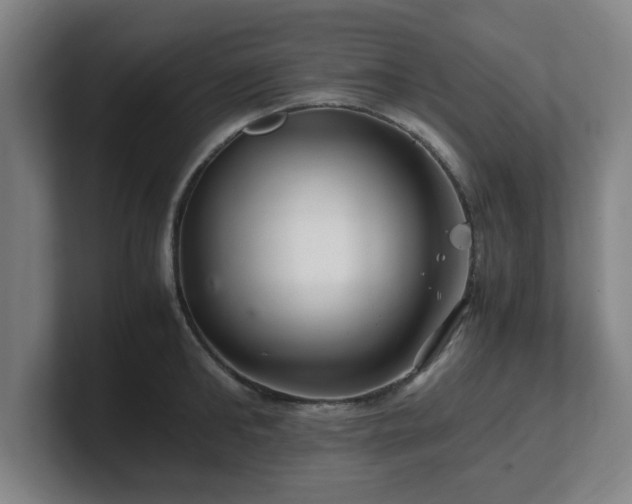 X0000101710902200807171533