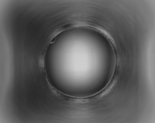 X0000101710905200807171533