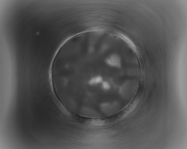 X0000101710907200807171533