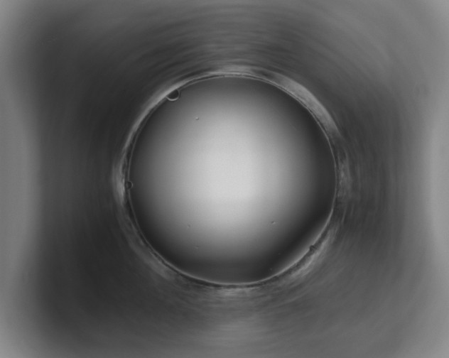 X0000101710908200807171533