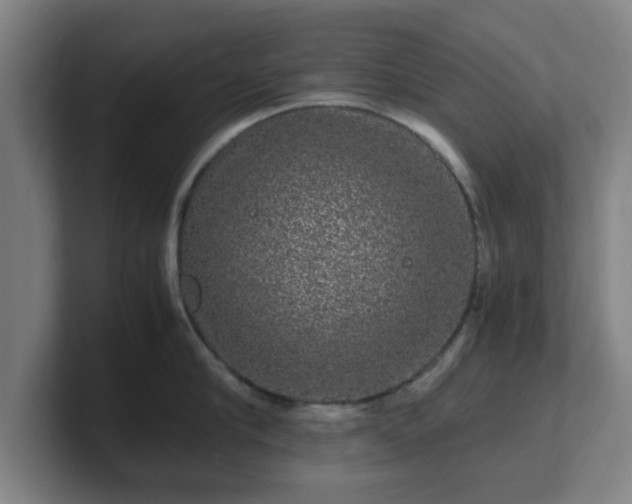X0000101710910200807171533