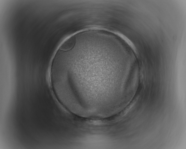 X0000101710911200807171533
