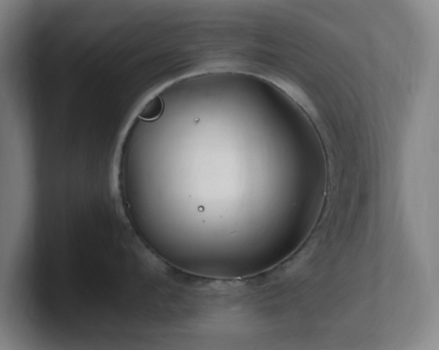 X0000101710912200807171533