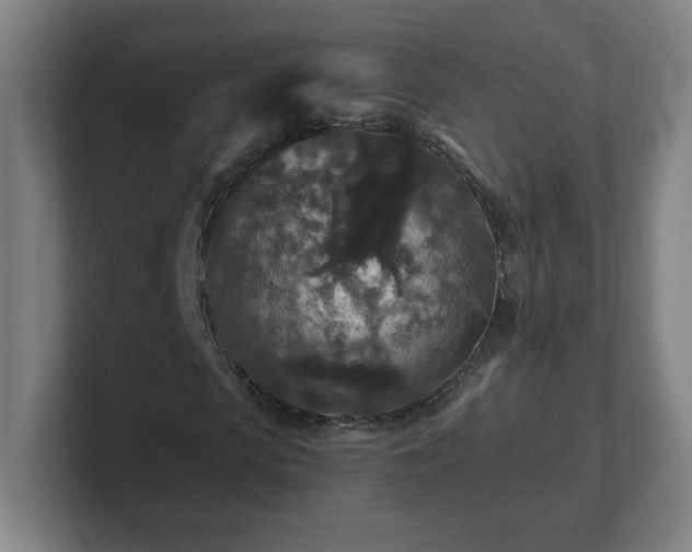 X0000101710913200807171533