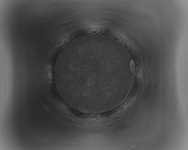 X0000101710916200807171533