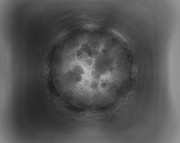 X0000101710917200807171533