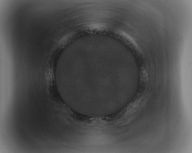X0000101710918200807171533
