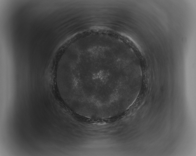 X0000101710919200807171533