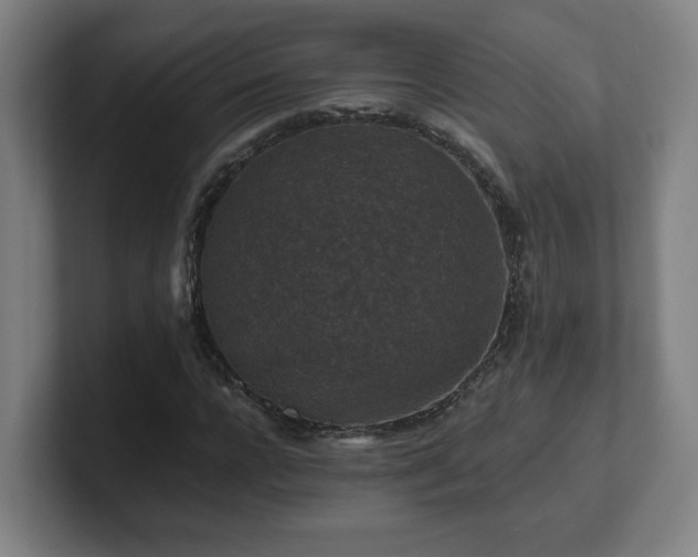 X0000101710920200807171533